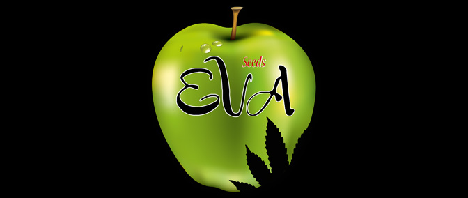 Opiniones del banco Eva Seeds