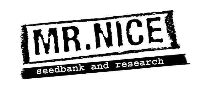 Opiniones del banco Mr.Nice