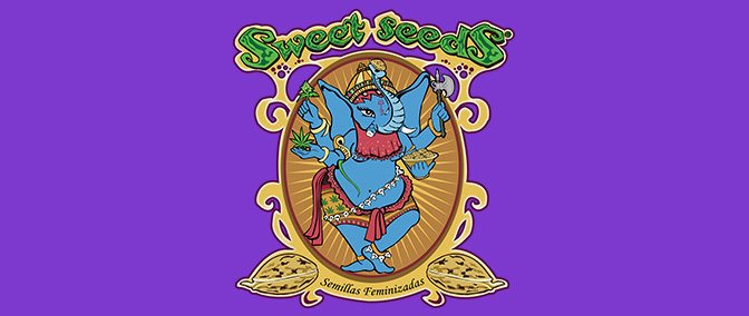 Opiniones banco Sweet Seeds