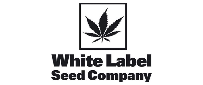 Opiniones del banco White Label