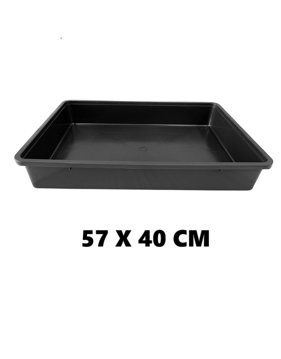 BANDEJA PORTADORA 57X40 CM