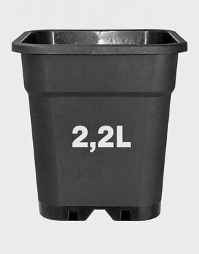 MACETAS 2,2 LITROS